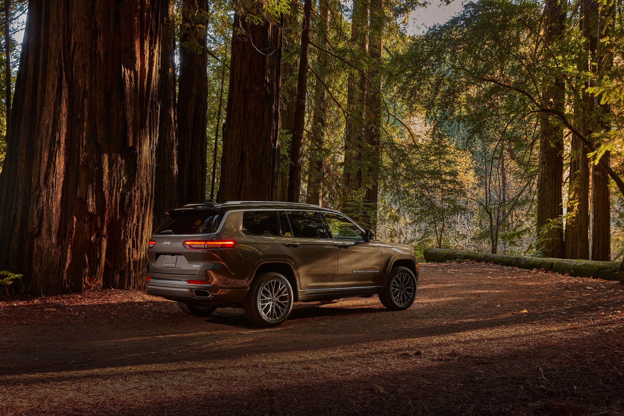 Jeep in the woods